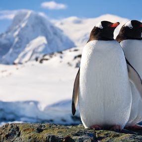 25% Saving on Viking Solo Trips