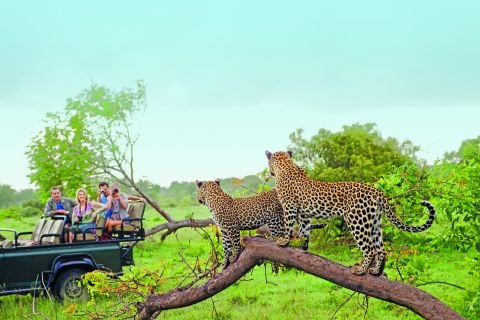 Sensational South Africa - Women's only

12 days |  From $4,205 p.p.