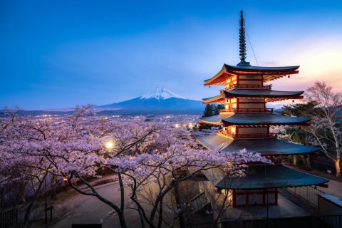 Journey Through Japan

13 days  |  From $8,980 p.p. 