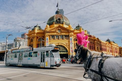 Brisbane to Melbourne
Economy fare from $159
Business fare from $499