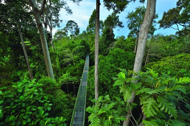 Rainforest Discovery Centre