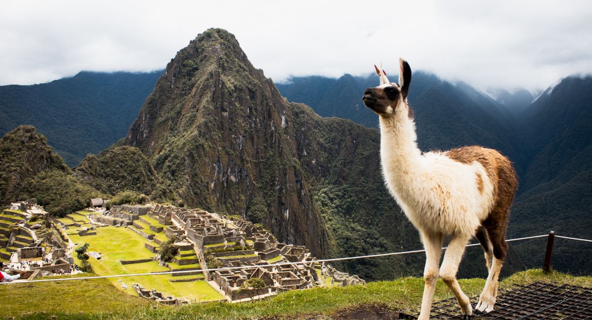 Diverse Cultures of South America with Machu Picchu - National Seniors ...