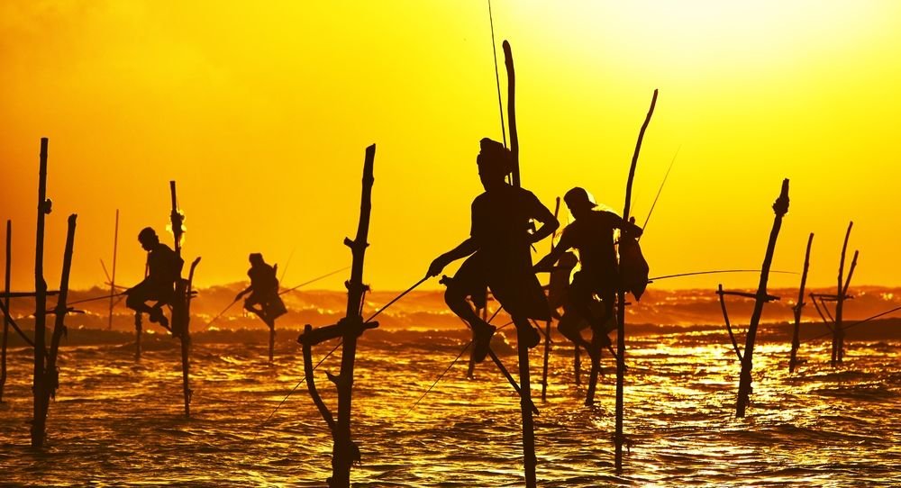 Sri Lanka Pearl of the Indian Ocean - National Seniors Travel